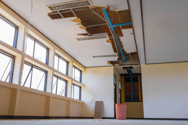 Best Water damage restoration experts  in Meridian Village, CO