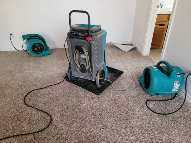 Professional Water damage restoration in Meridian Village, CO