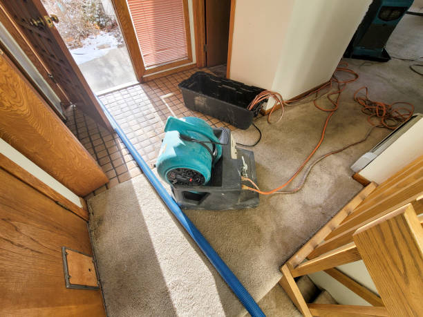 Best Commercial water damage restoration  in Meridian Village, CO