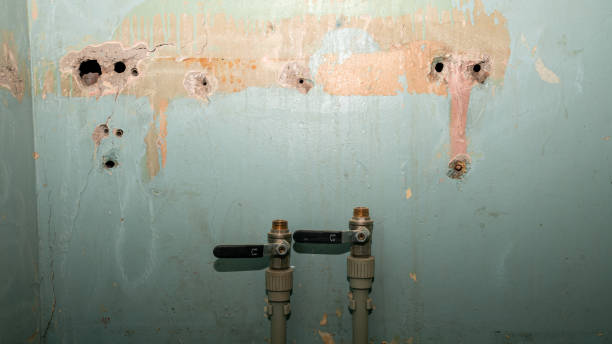 Carpet water damage restoration in Meridian Village, CO