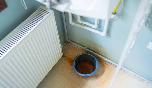 Best Flooded house restoration  in Meridian Village, CO