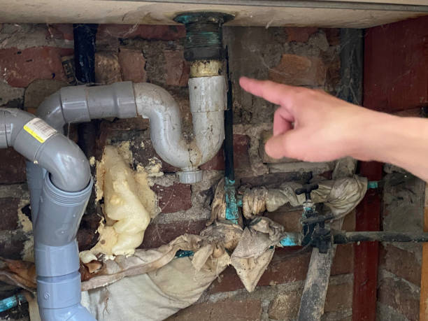 Best Flood restoration services  in Meridian Village, CO
