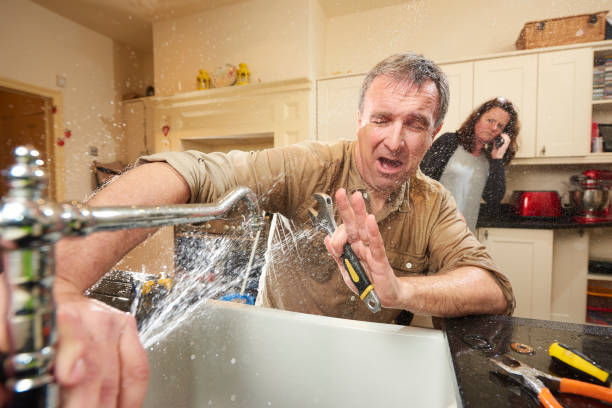 Best Flood damage cleanup  in Meridian Village, CO